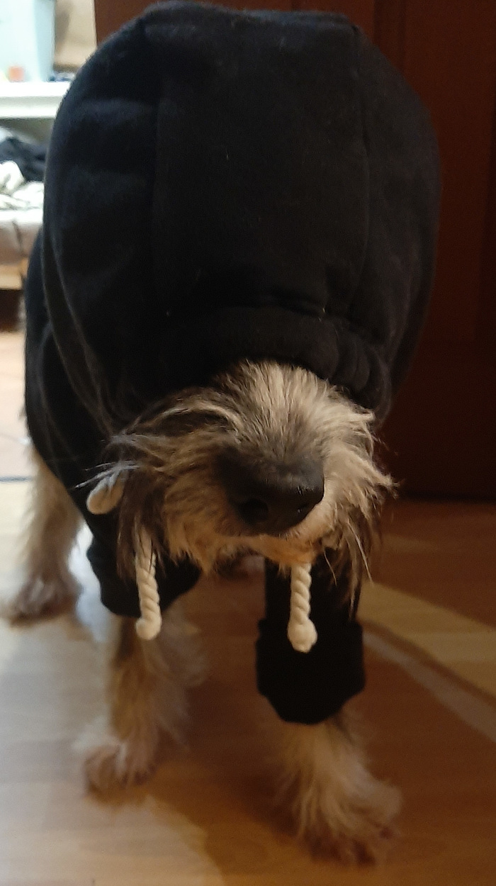 ����� ����� ���� ������, � ���������� ��� ������...