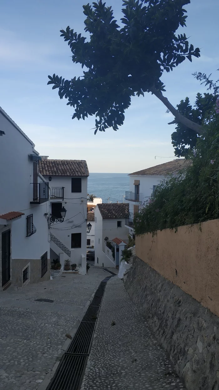 Altea - a snow-white city on a hilltop - Longpost, cat, Nature, Travels, Europe, My
