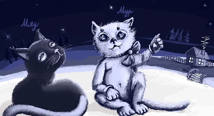 Look at the sky - My, cat, Illustrations, Goodnight