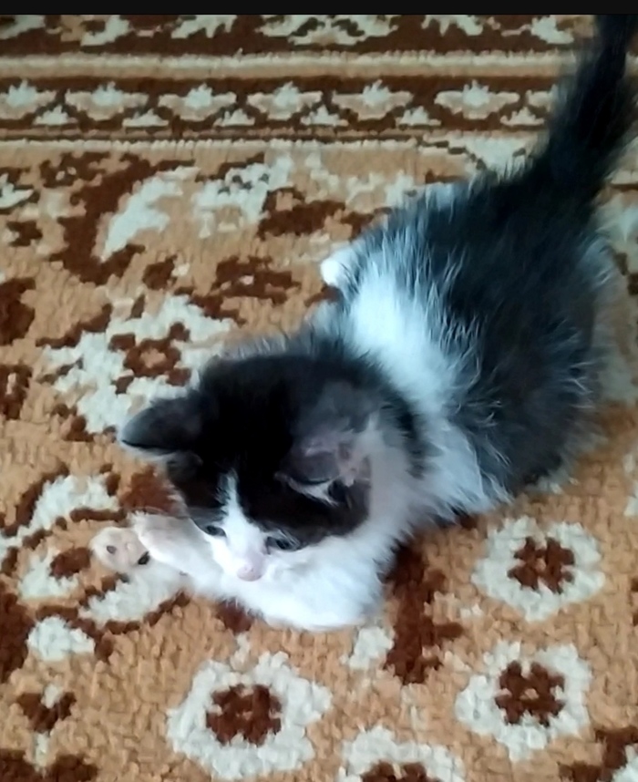       , , , , ,   , ,  