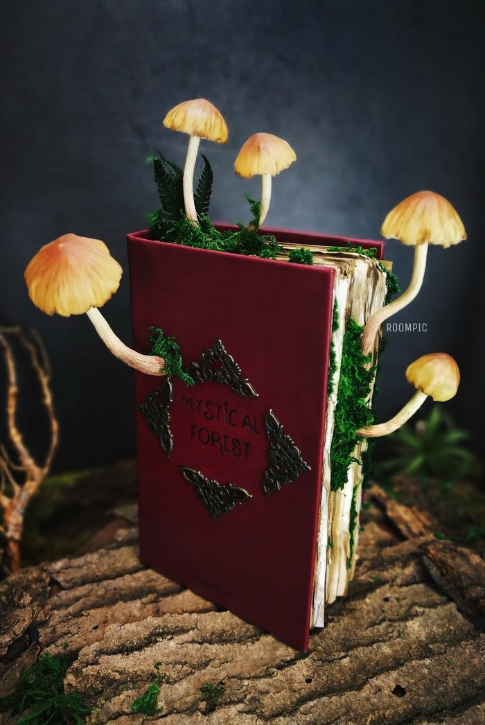 Книга - ночник со светящимися грибами | Пикабу