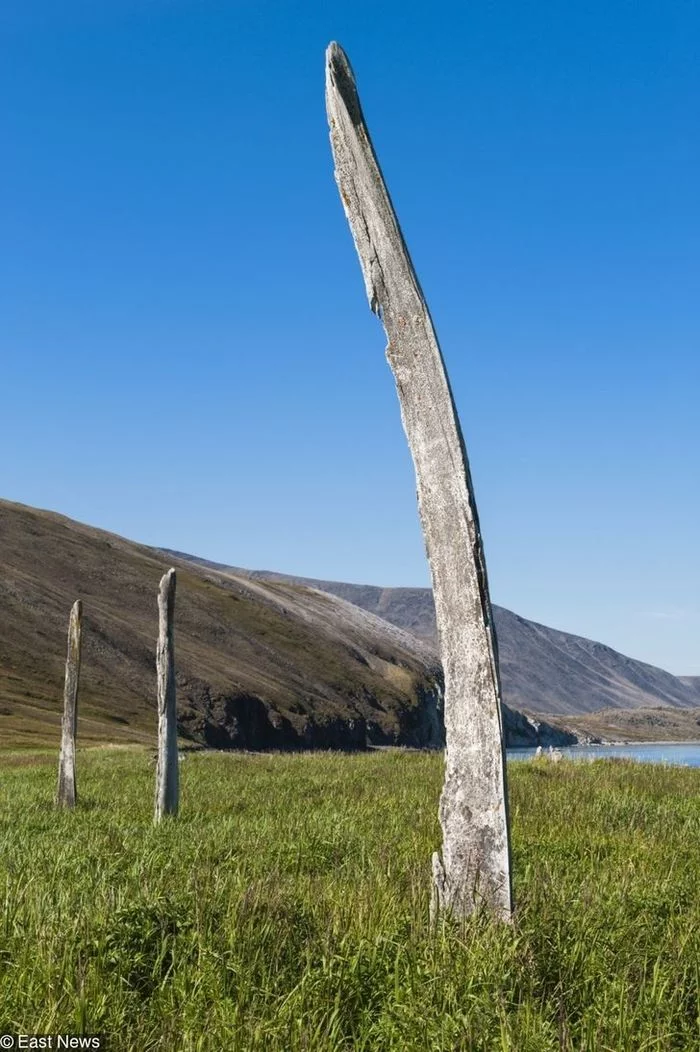 24 facts about life in Chukotka that prove that the Far North is a world like no other - Story, ADME, Chukotka, Longpost, Far North