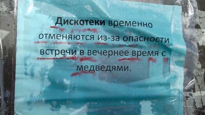 На чем предпочитают передвигаться народы чукотки. Смотреть фото На чем предпочитают передвигаться народы чукотки. Смотреть картинку На чем предпочитают передвигаться народы чукотки. Картинка про На чем предпочитают передвигаться народы чукотки. Фото На чем предпочитают передвигаться народы чукотки