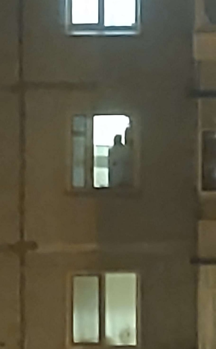      , , , , , , 