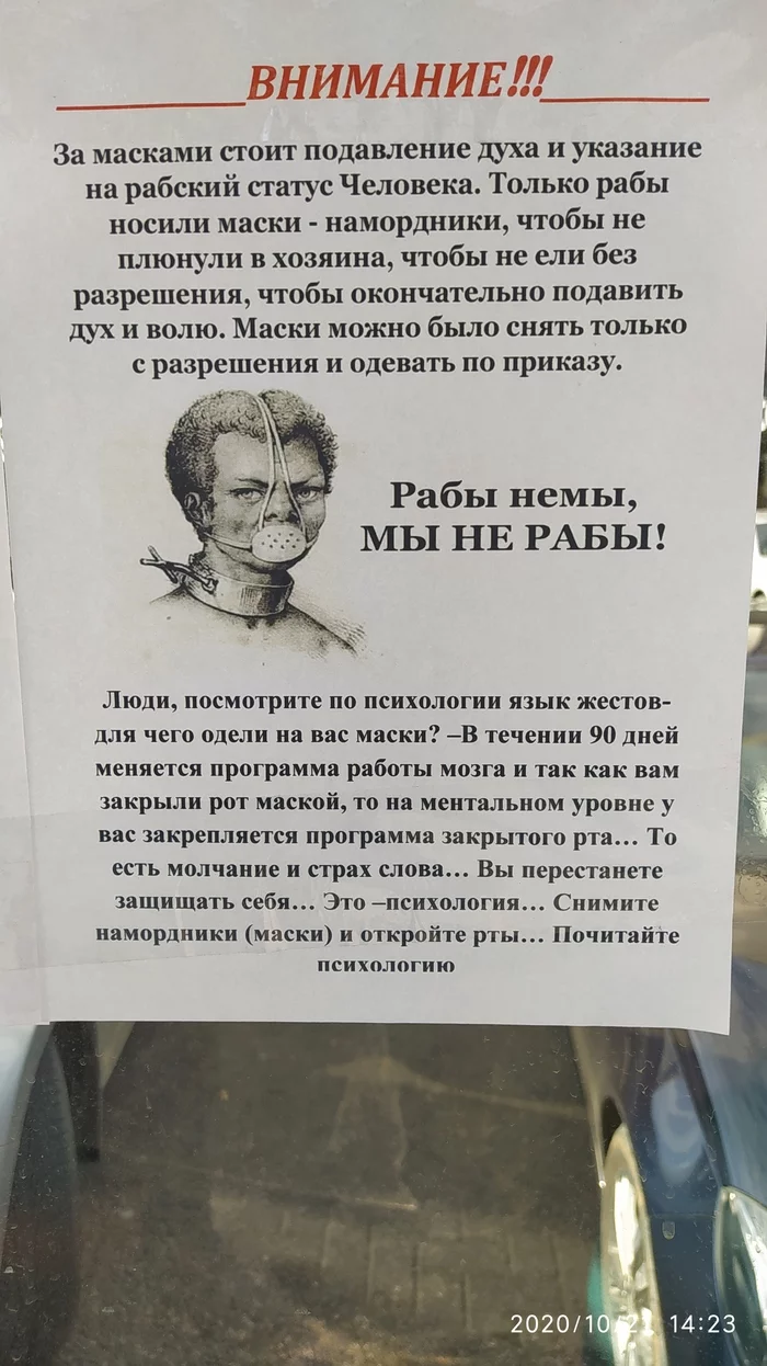 Только шапочки из фольги не хватает... - Моё, Маска, Пандемия, Длиннопост, Мракобесие, Идиотизм