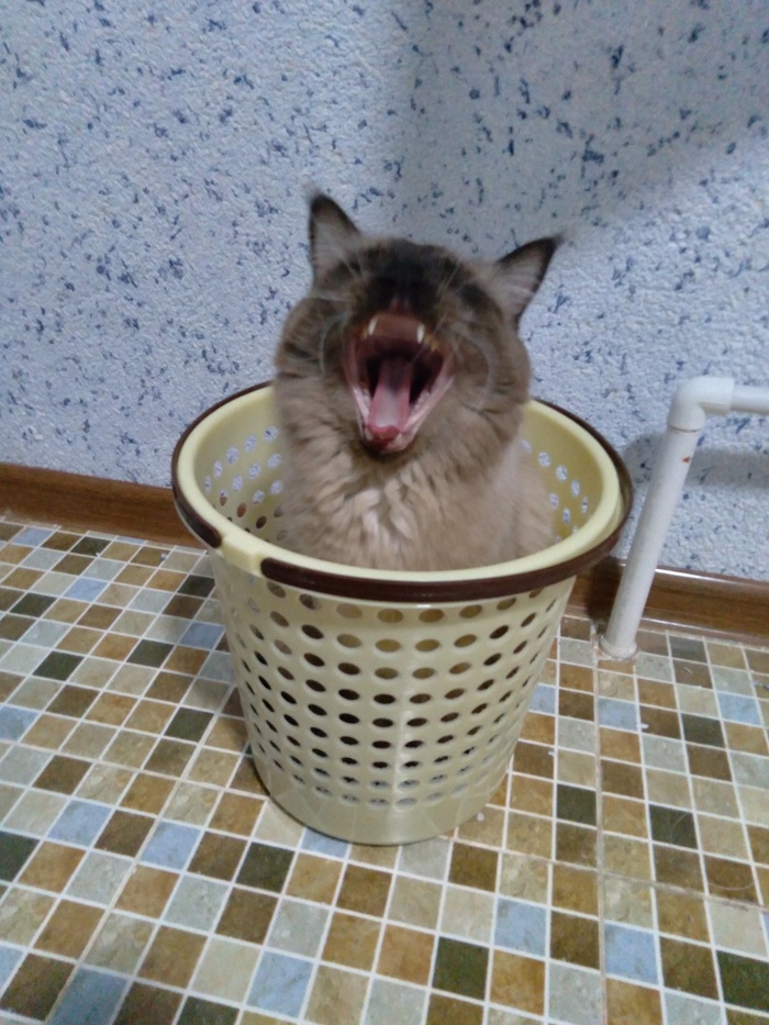 ������ ��������...