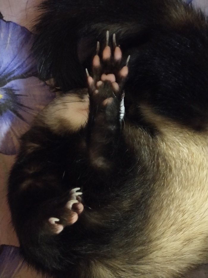 Привет от четверга пятнице