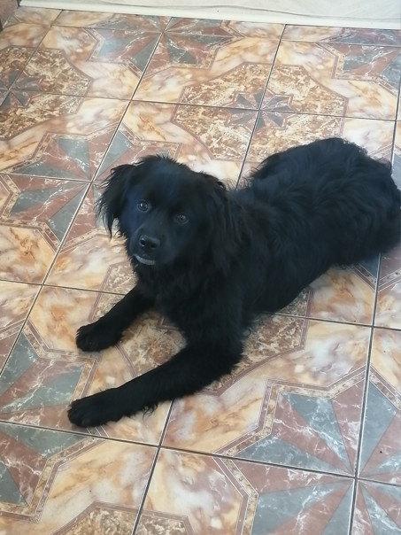 ����� ������, ������� ������ [������� �������]