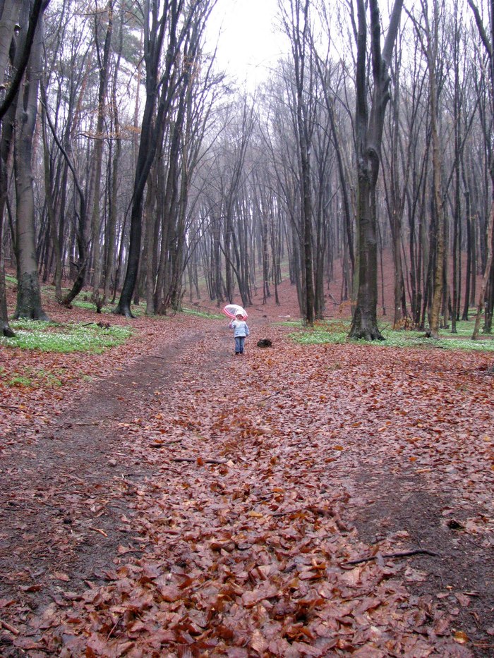 ����� ������� ���� ��������...