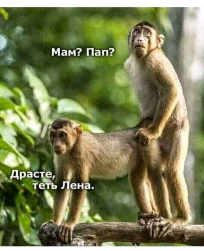     ... , ,   , 