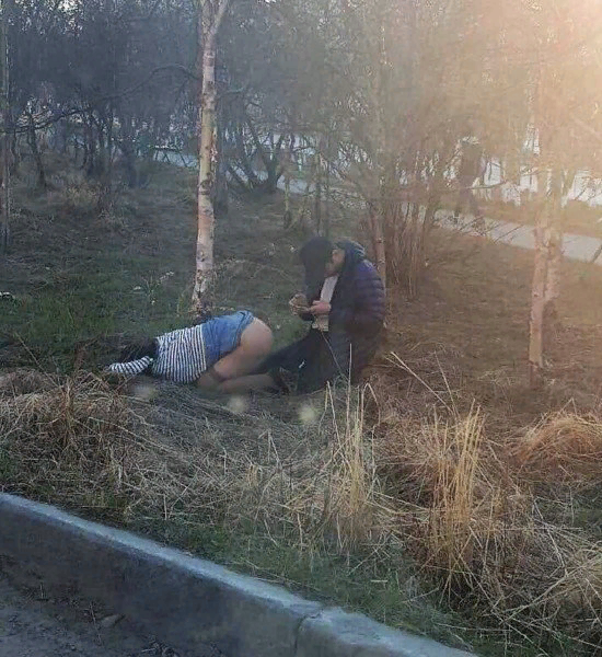 ������� ���������