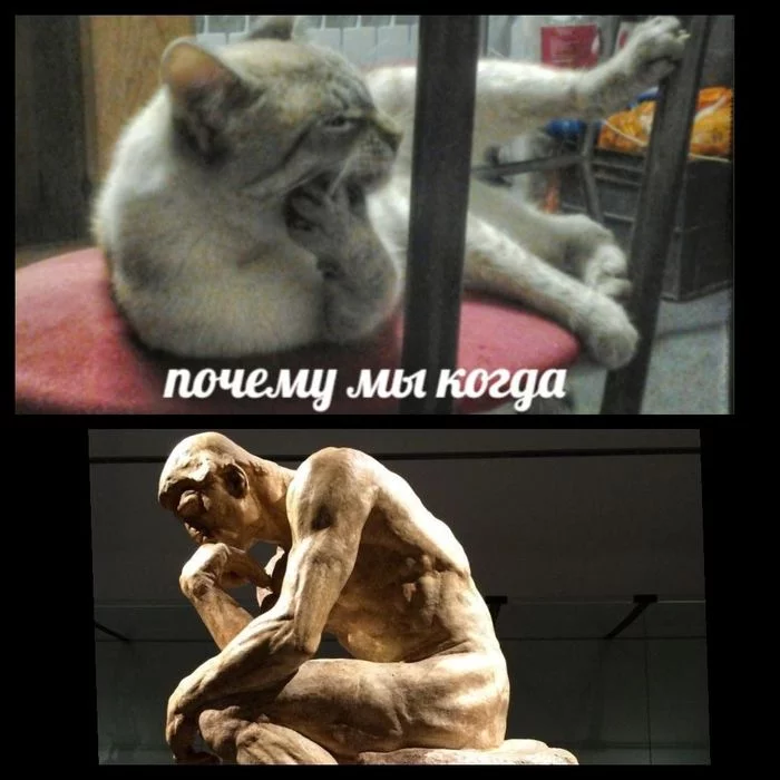 A unique original and a pathetic parody - cat, Thinker Rodin