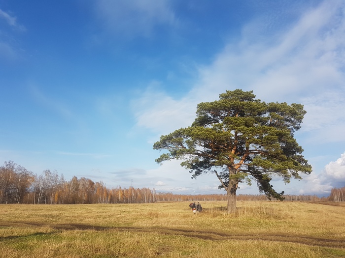 �������� �����