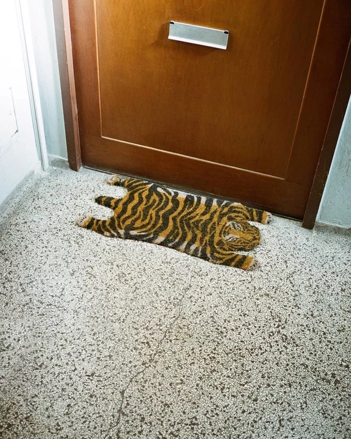 Someone apparently returned from a safari - Mat, Tiger, Skin