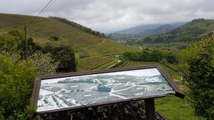 Попытка побега, дождь и боль. Борщ из пакета и другие радости Камино Путешествия, Камино, Пеший туризм, Длиннопост