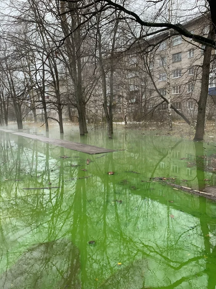 Ядовитые болота - ЖКХ, Авария, Фотография, Архангельск, Теплосети, Утечка, Красители