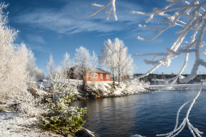 Frost and sun - My, The photo, Winter, freezing, Landscape, Arctic, Murmansk region, Nikon D750, Longpost