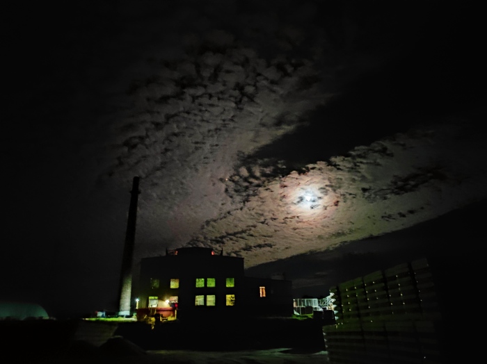 ������ �����