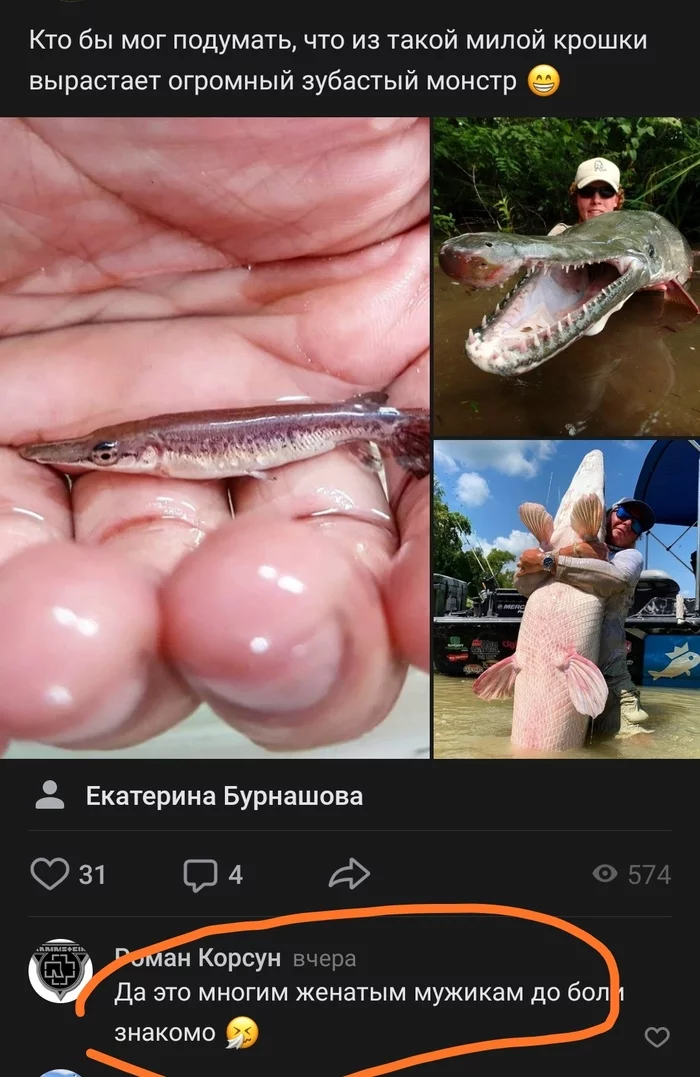 Baby - Social networks, Picture with text, Comments, Pike, Alligator pike, Mississippi shell