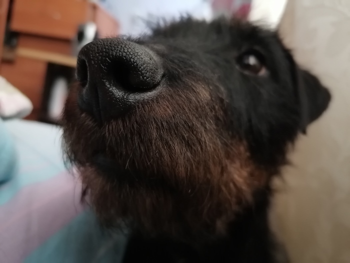 ���� ���������� �� � ����