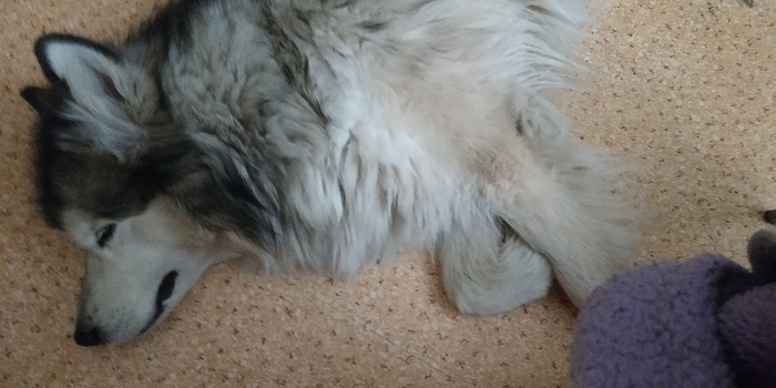 ���� ���� ������ ����� �������� �� ����, ��� �����. ������ ���� ������, ��� ��� ������ ������� ����