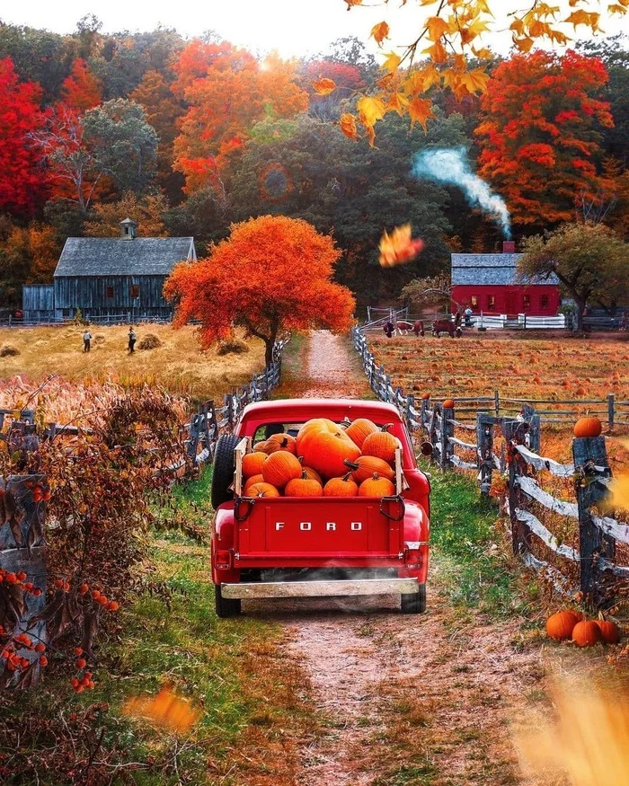 Old Village of Sturbridge Living Museum, Massachusetts - Massachusetts, USA, Autumn, Pumpkin, Ford, The photo, Autumn leaves