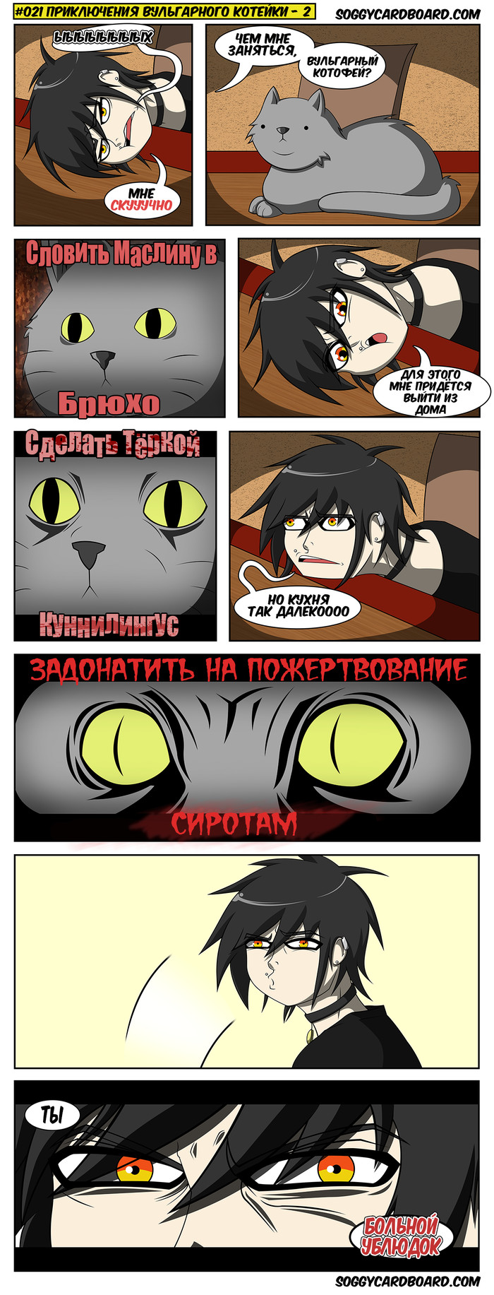 021 -    - 2 , , Soggycardboard, 