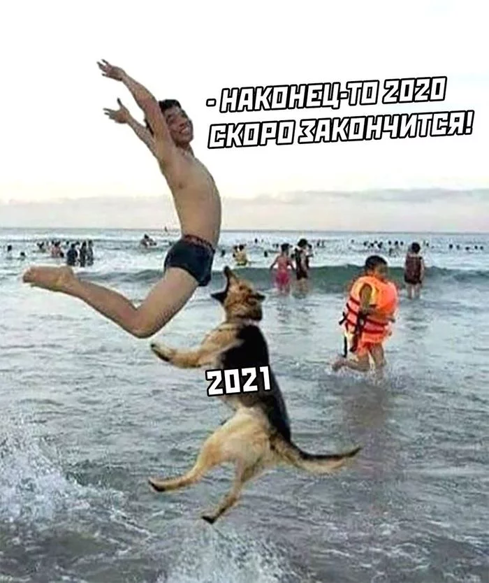 Well, 2020 is finally over! - 2020, 2021, New Year, Dog, Kus, Humor, Picture with text
