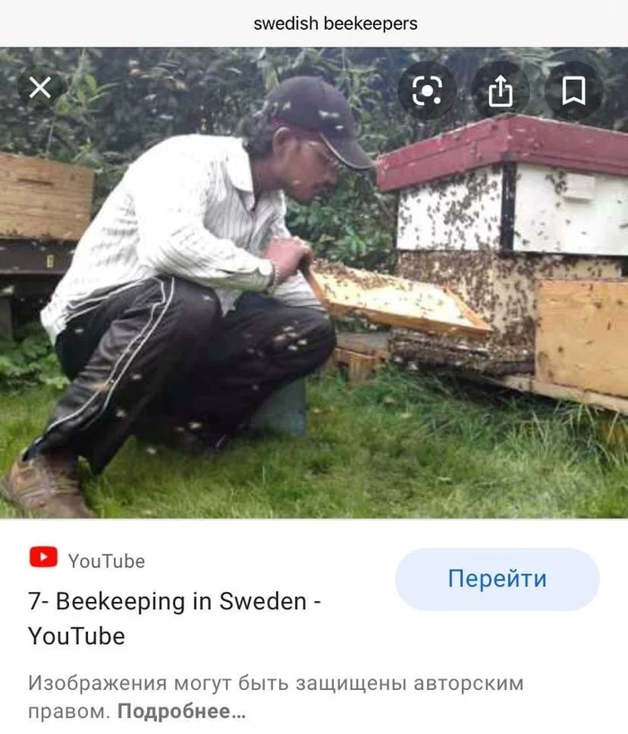 Reply to the post About masks (Slovak humor) - Bees, Mask, Beekeeper, Reply to post, Beekeeping