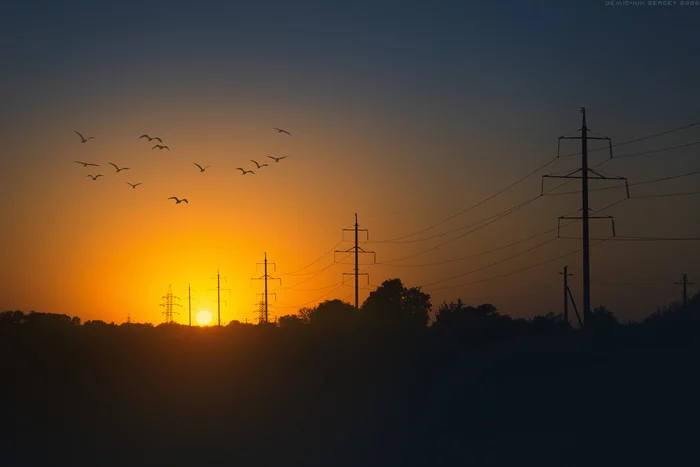 Remains of summer) - My, The photo, Landscape, Sunset, Gold, Atmosphere, Parting, Birds, Power lines