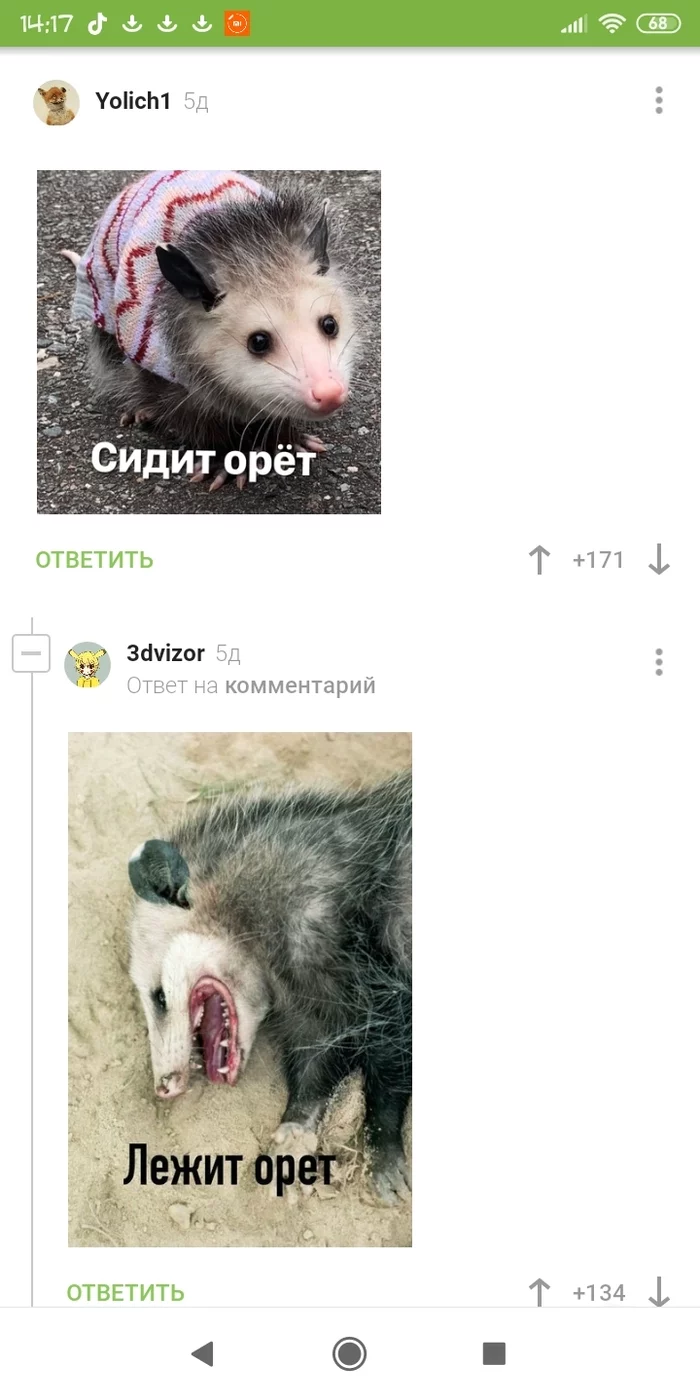 Briefly about possums - Humor, Comments, Opossum, Longpost, Comments on Peekaboo, Screenshot