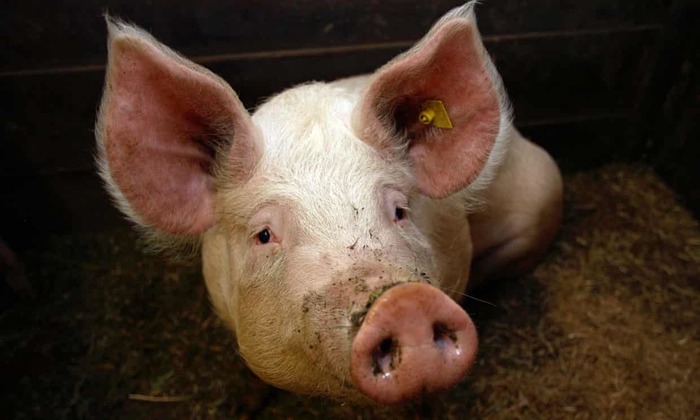 Сегодня я узнал #4 Reddit, Сегодня я узнал, Интересное, Перевод, Жизнь, Длиннопост, Баян Сегодня я узнал #4 Reddit, Сегодня я узнал, Интересное, Перевод, Жизнь, Длиннопост, Баян