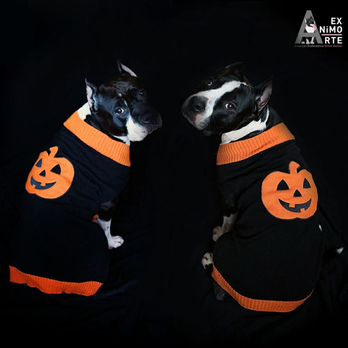 � ������������ ��������!