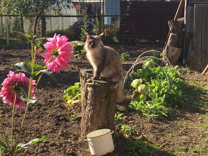 ��������� ������ ������