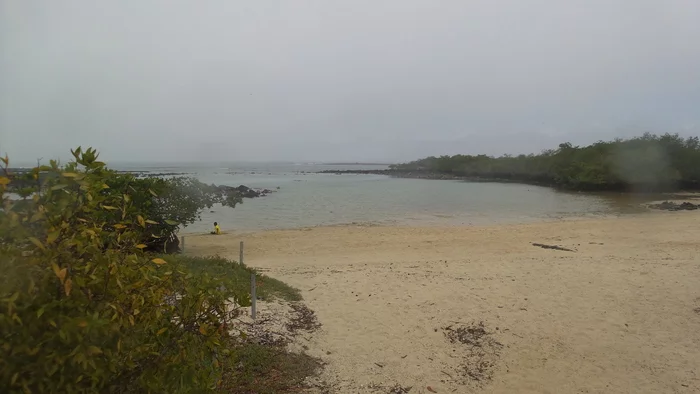 Latin American Checkmark - Isabella-Puerto-Ayora (31.10-1.01.2019) - My, Travels, Tourism, South America, Video, Longpost, Series Latin American Tick 20192020