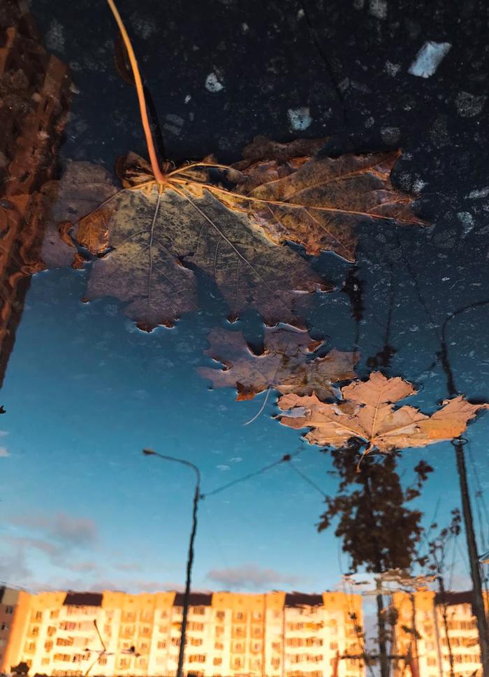 ������. �����