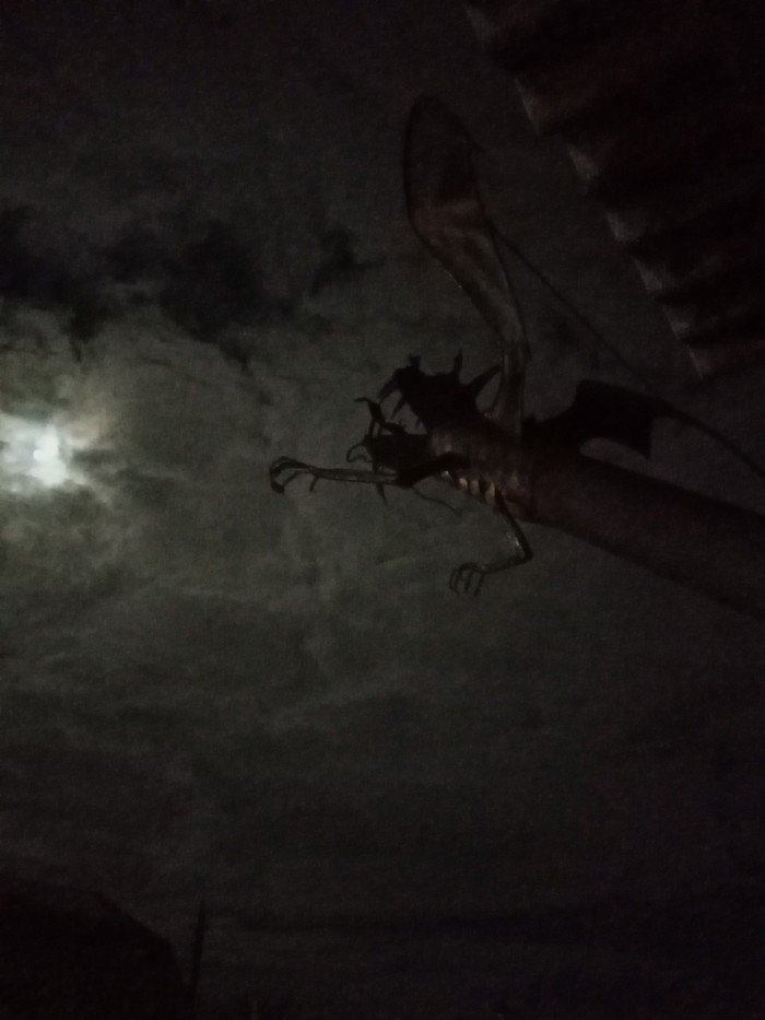 Дымоход "дракон". Делал для себя Металл, Дымоход, Ручная работа, Длиннопост