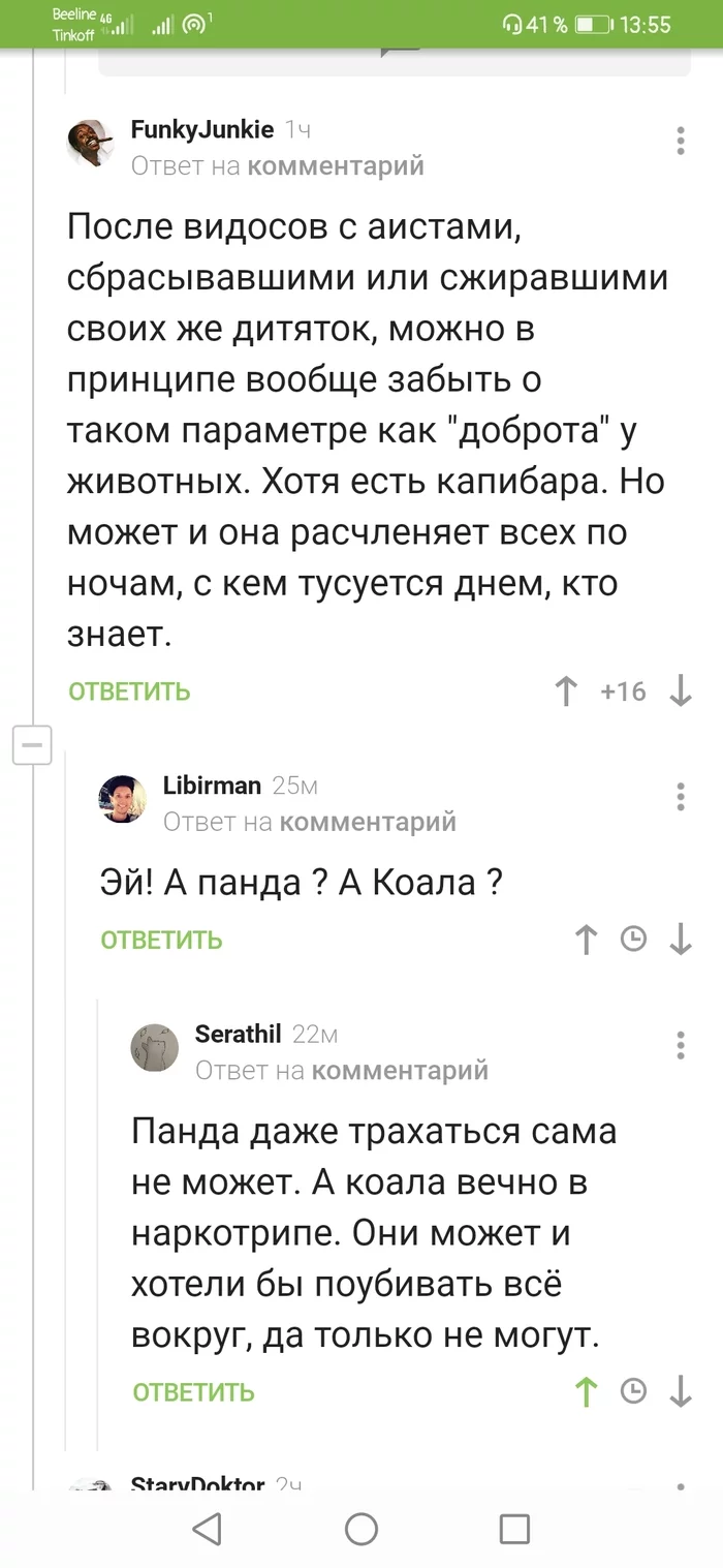 Comments, as always, deliver))) - Comments on Peekaboo, Humor, Longpost