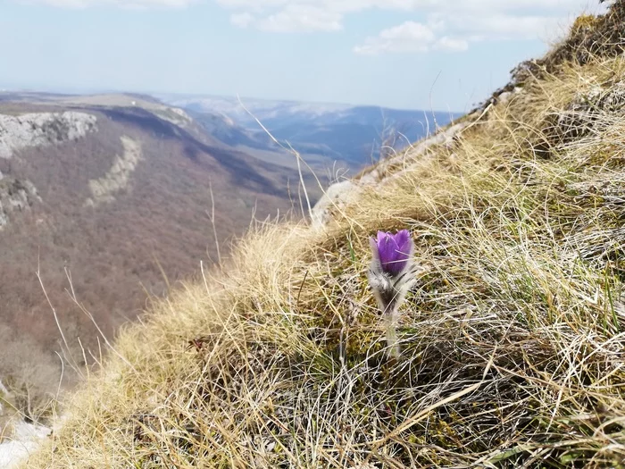 Crimea 201. Day 3. part 1 “Hard lesson” - My, Crimea, Chatyr-Dag, Dream herb, Cold, Mat, Longpost