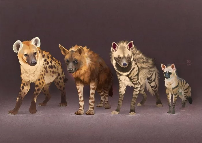 Post #7812164 - Hyena, Spotted Hyena, Brown hyena, Striped hyena, Aardwolf, Wild animals