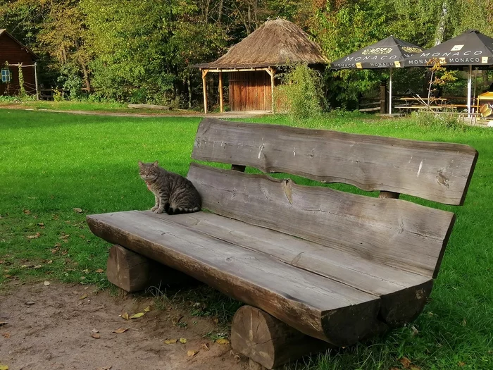 Skansen Pirogov - My, Kiev, Ethnographic Museum, Longpost