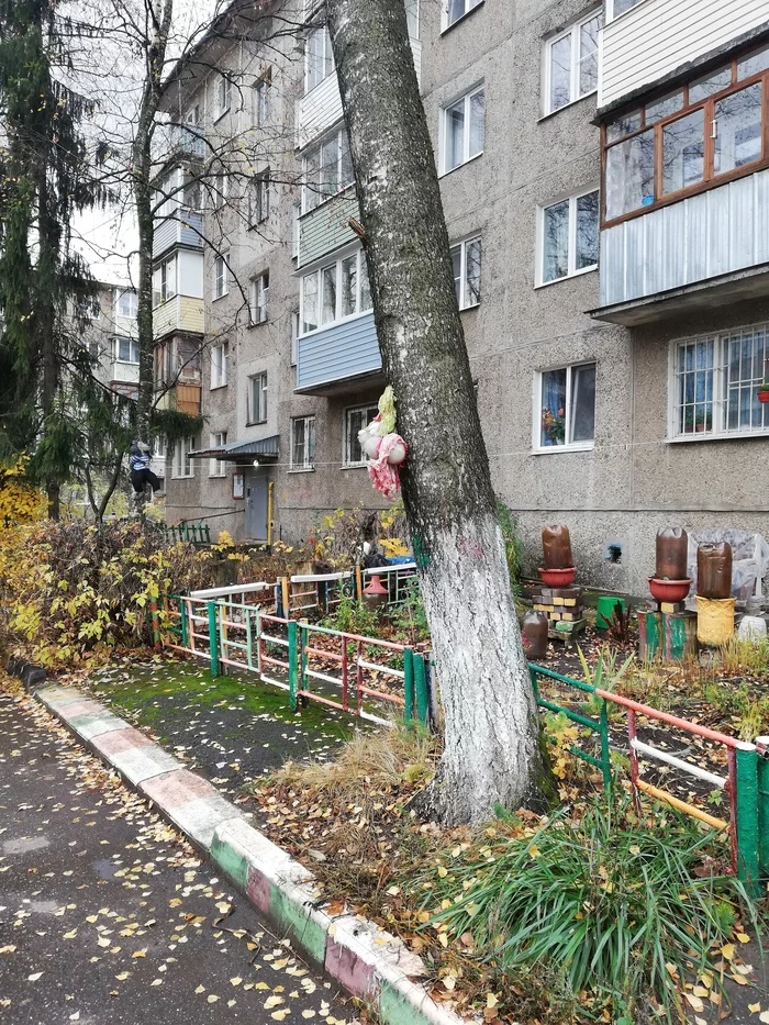 Yard in a town near Moscow - My, Courtyard, Rukozhop