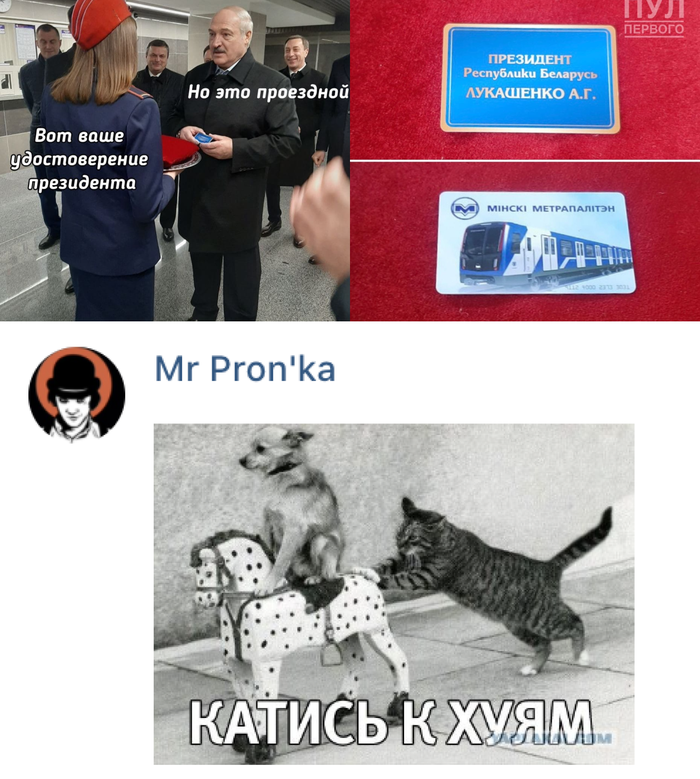    ,  , 