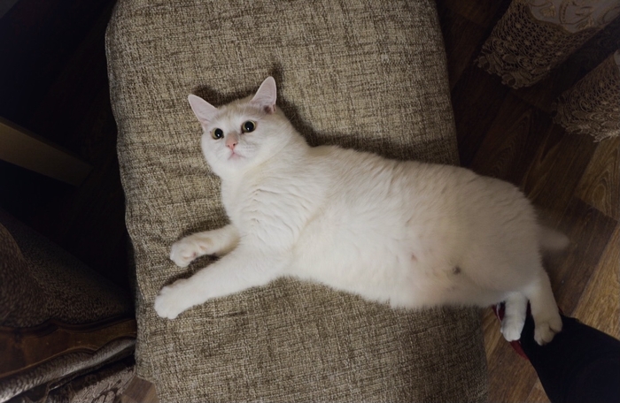 ������ :3