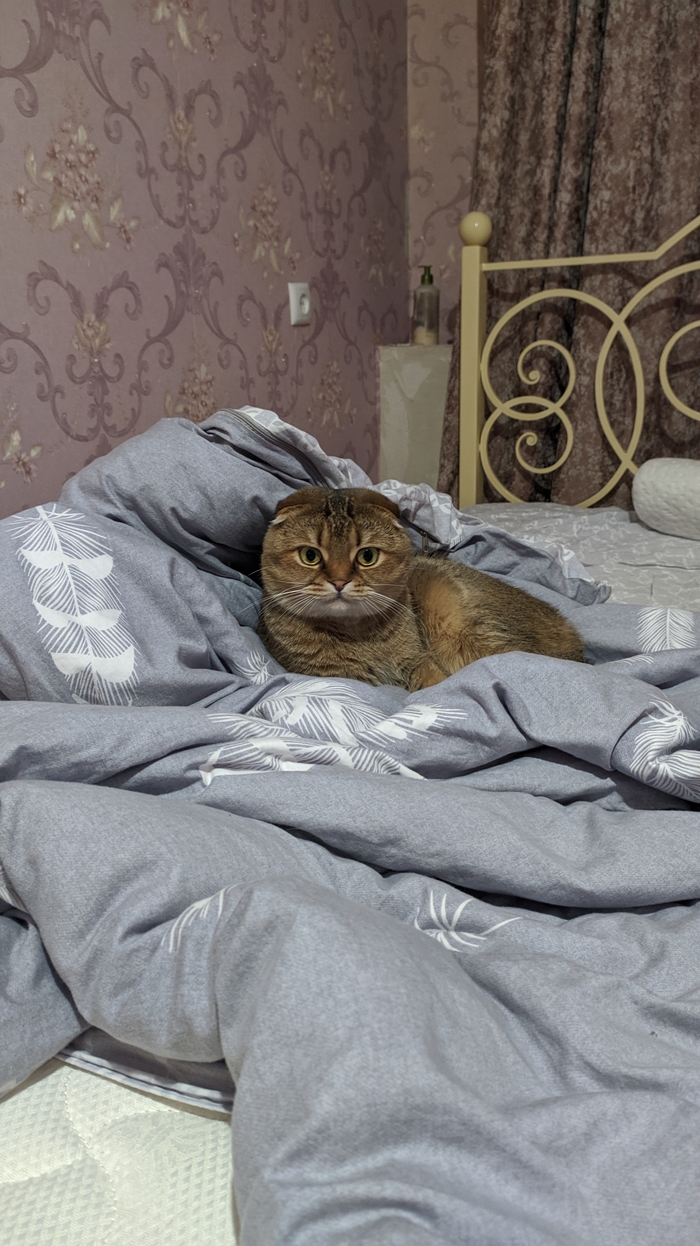 Как сделать средневековый шлем
