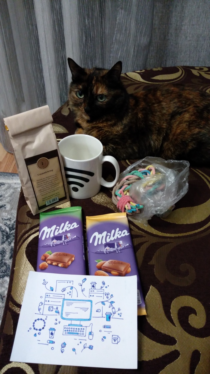 Профобмен 2020