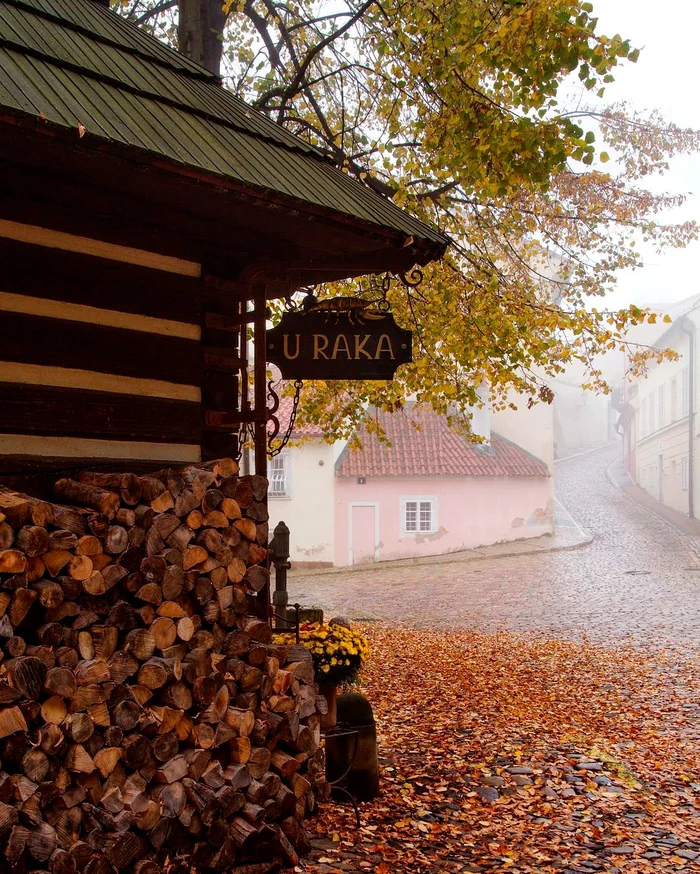 Autumn in the New World area near Prague Castle - Prague, Czech, Europe, Fog, Autumn, The photo, Prague Castle