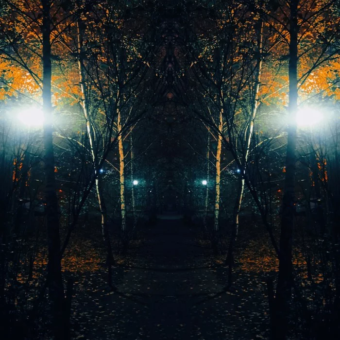 Inspired by darkness - The park, Autumn, Serials, Netflix, Darkness (TV series)