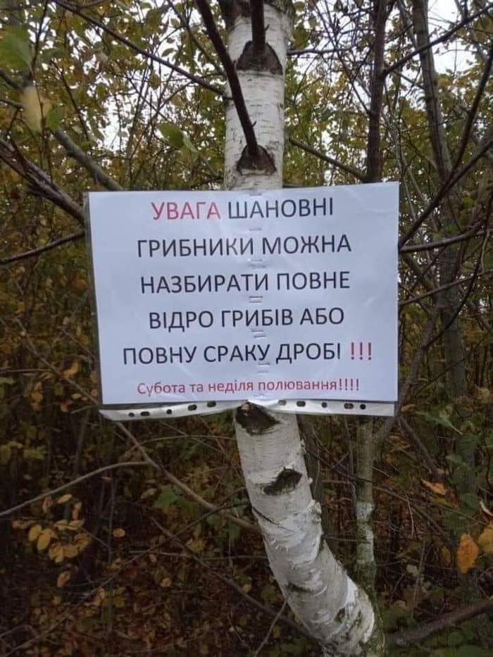 ����������� ��������� �����