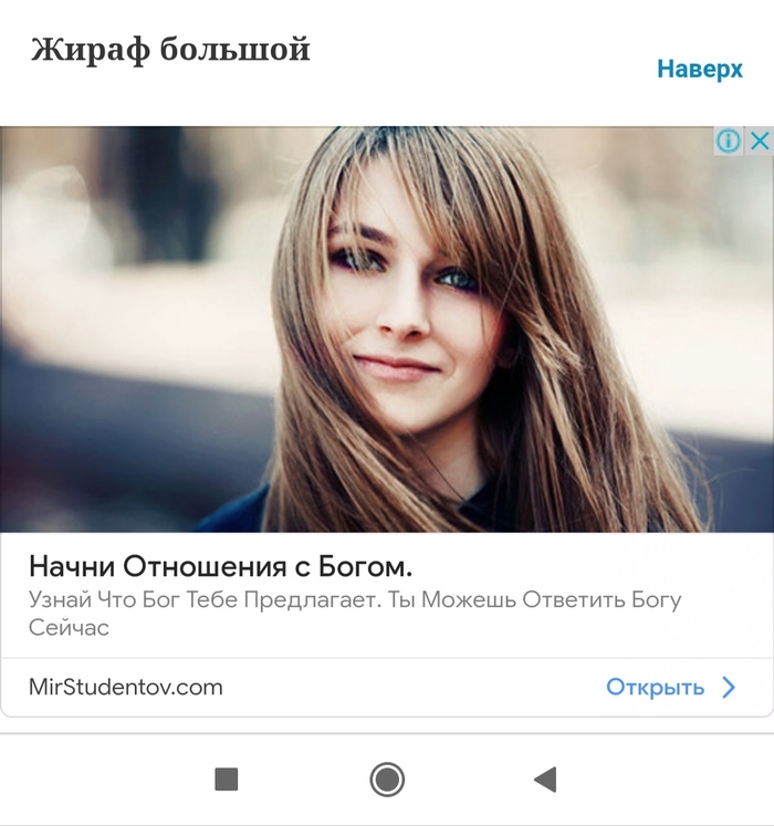Что общего между жирафом и человеком. Смотреть фото Что общего между жирафом и человеком. Смотреть картинку Что общего между жирафом и человеком. Картинка про Что общего между жирафом и человеком. Фото Что общего между жирафом и человеком